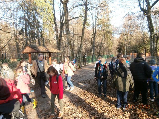 25.10.2013_WYCIECZKA DO BIAŁOWIEŻY56.JPG